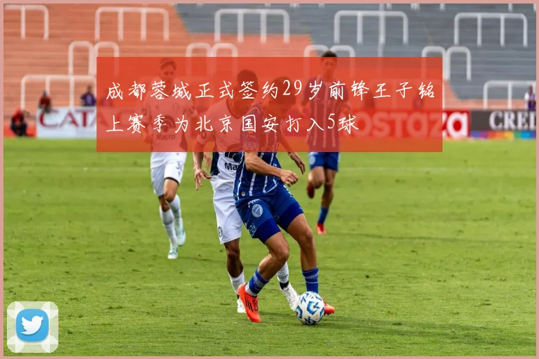 成都蓉城正式签约29岁前锋王子铭上赛季为北京国安打入5球